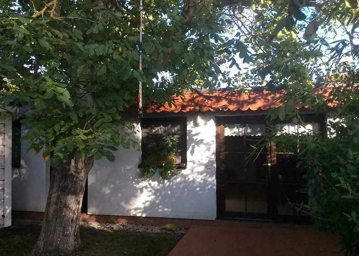 Unterm Walnussbaum Dorfstr.96 Breege